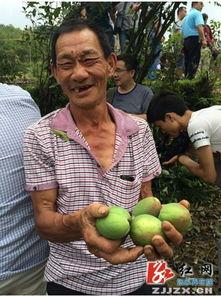 桑植新瓜最新爆料,揭秘瓜界新宠儿的神秘面纱 第3张 桑植新瓜最新爆料,揭秘瓜界新宠儿的神秘面纱 第3张